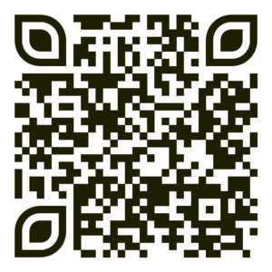 d4fe30f4c15a22c6ed8005afcbc397a3